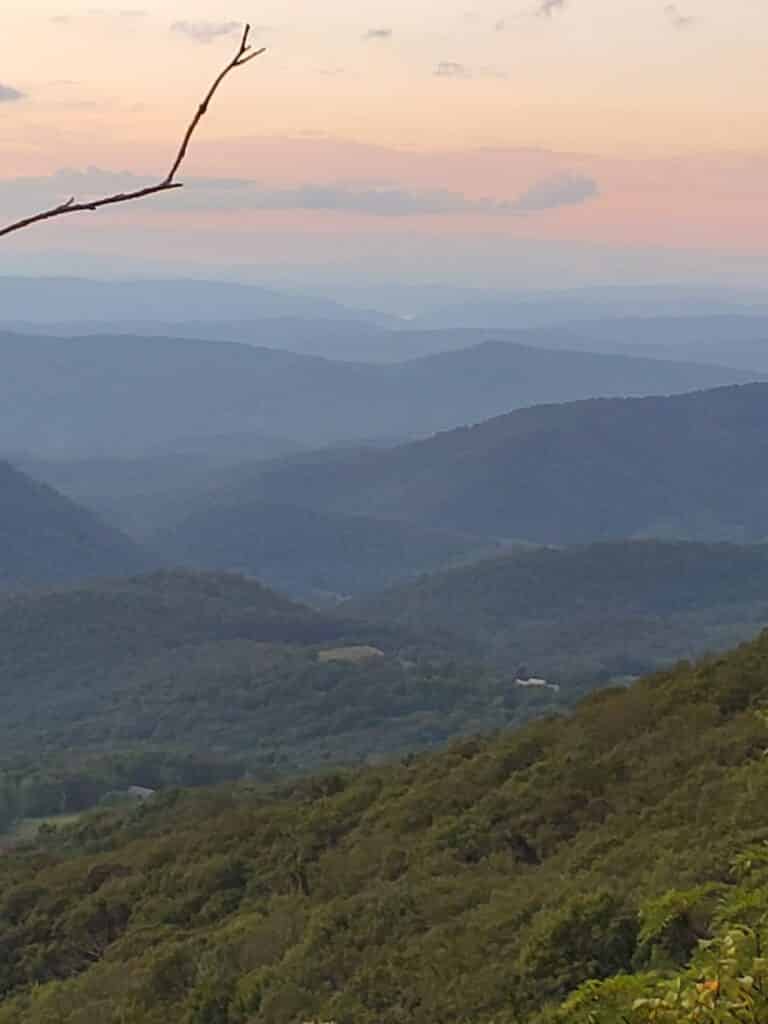 Bare branch jutting from the left against a pastel sunset over layered blue mountains in the distance.