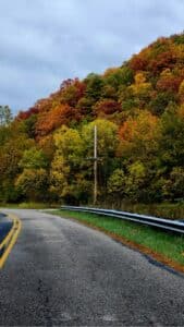 Curving section of Jackson River Turnpike bordered by colorful autumn trees