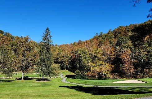 Lush green golf green surrounded by trees and blue skies