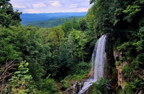 Stunning waterfall in the middle of a densely forested area