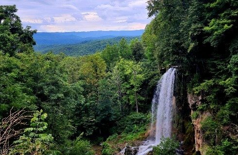 Stunning waterfall in the middle of a densely forested area