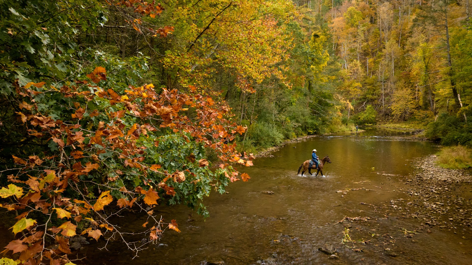 Horseback riders crossing a shallow mountain stream surrounded by fall foliage in Bath County