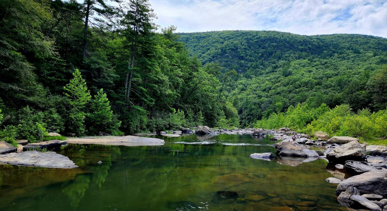 Serene valley showing a river studded with rocks and surrounded by dense forest trees