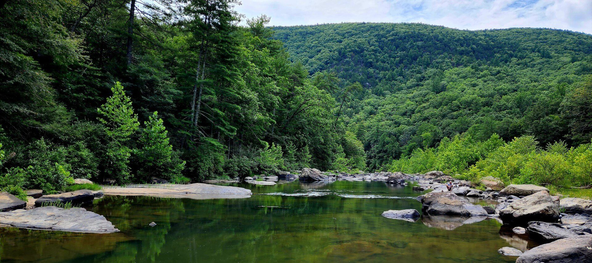 Serene valley showing a river studded with rocks and surrounded by dense forest trees