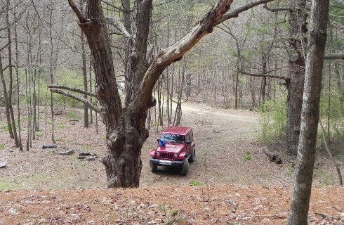 Wooded area with a single red jeep parked among the trees