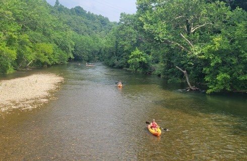 Kayakers going down a calm river flanked with lush green trees