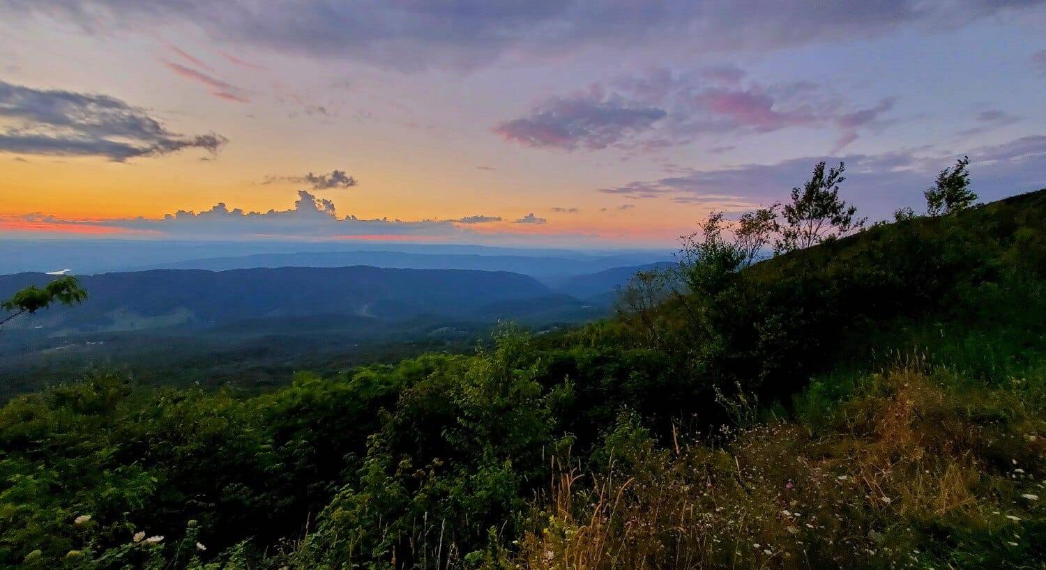 Expansive mountain valley covered in dense forest at sunset