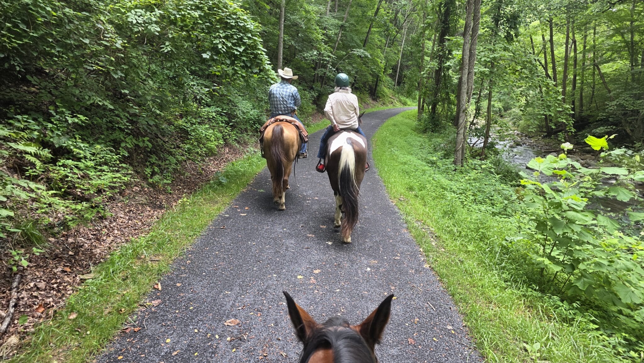 Horseback riding along a forest trail in Bath County Virginia during spring.